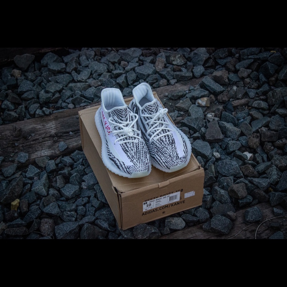 Zebras 350